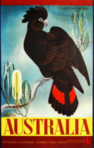 Eileen Mayo Cockatoo And Banksia. Australia, c1956. colour process lithograph, 99.7 x 63.8cm. Image courtesy Josef Lebovic Gallery