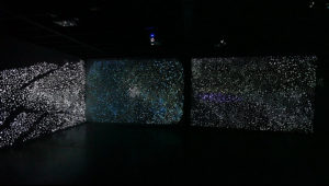 Daniel Boyd still from A darker shade of dark 2012. 4 channel video. Sound Ryan Grieve. Image courtesy the artist and Roslyn Oxley9 Gallery