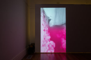 Installation view reSATURATEryb. Julia Davis, Re(a)pture #2, 2014 (detail) GCS Gallery Abbottsleigh. Image courtesy the Gallery and artists. Photo Richard Glover