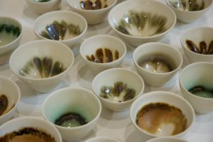 Brett Stone Memory Field 2014 stoneware 48 bowls